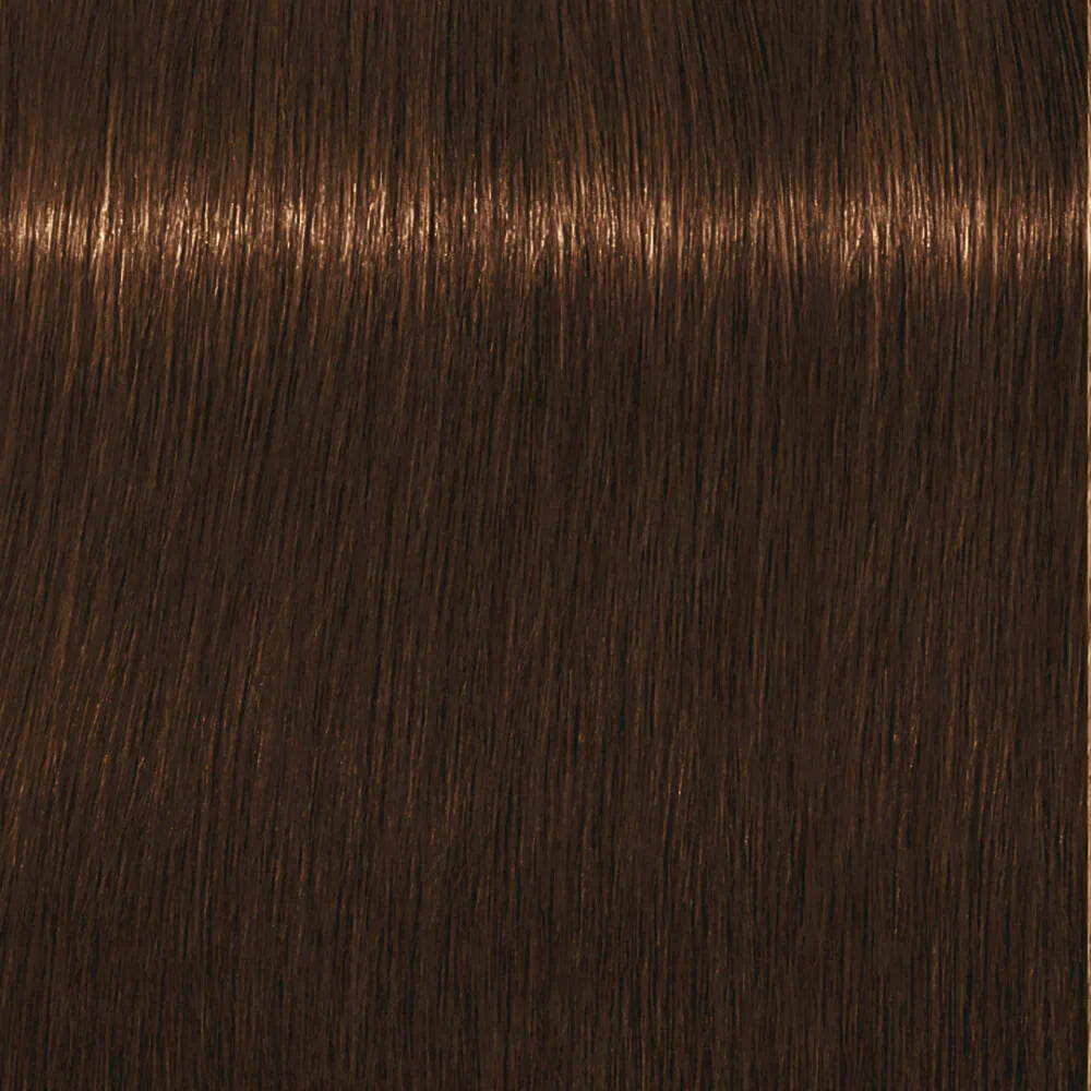 Schwarzkopf Igora Royal Absolutes 60ml - Permanent Colour
