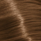 Schwarzkopf Igora Royal Absolutes 60ml - Permanent Colour