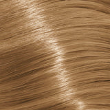 Schwarzkopf Igora Royal Absolutes 60ml - Permanent Colour