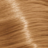 Schwarzkopf Igora Royal Absolutes 60ml - Permanent Colour