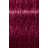 Schwarzkopf Igora Royal 60ml - Permanent Colour