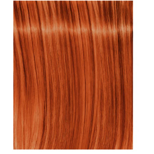 Schwarzkopf Igora Royal 60ml - Permanent Colour
