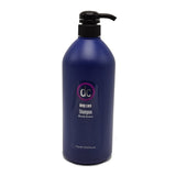 DC Hair Care Blonde Revivor Shampoo