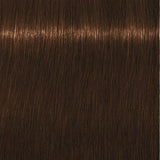 Schwarzkopf Igora Royal Absolutes 60ml - Permanent Colour