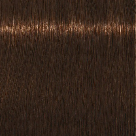 Schwarzkopf Igora Royal Absolutes 60ml - Permanent Colour