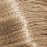 Schwarzkopf Igora Royal Absolutes 60ml - Permanent Colour