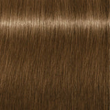 Schwarzkopf Igora Royal Absolutes 60ml - Permanent Colour