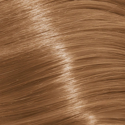 Schwarzkopf Igora Royal Absolutes 60ml - Permanent Colour
