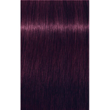 Schwarzkopf Igora Royal 60ml - Permanent Colour