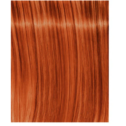 Schwarzkopf Igora Royal 60ml - Permanent Colour