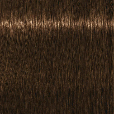 Schwarzkopf Igora Royal Absolutes 60ml - Permanent Colour
