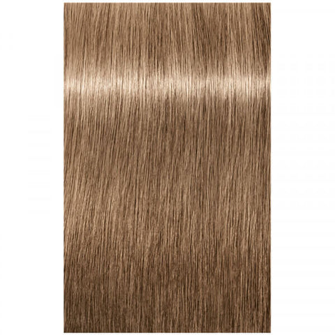 Schwarzkopf Igora Royal Absolutes 60ml - Permanent Colour